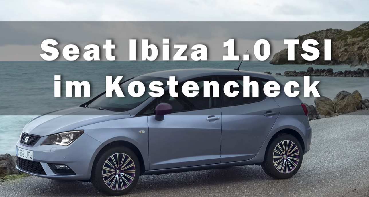 Inspektion Seat Ibiza Kosten