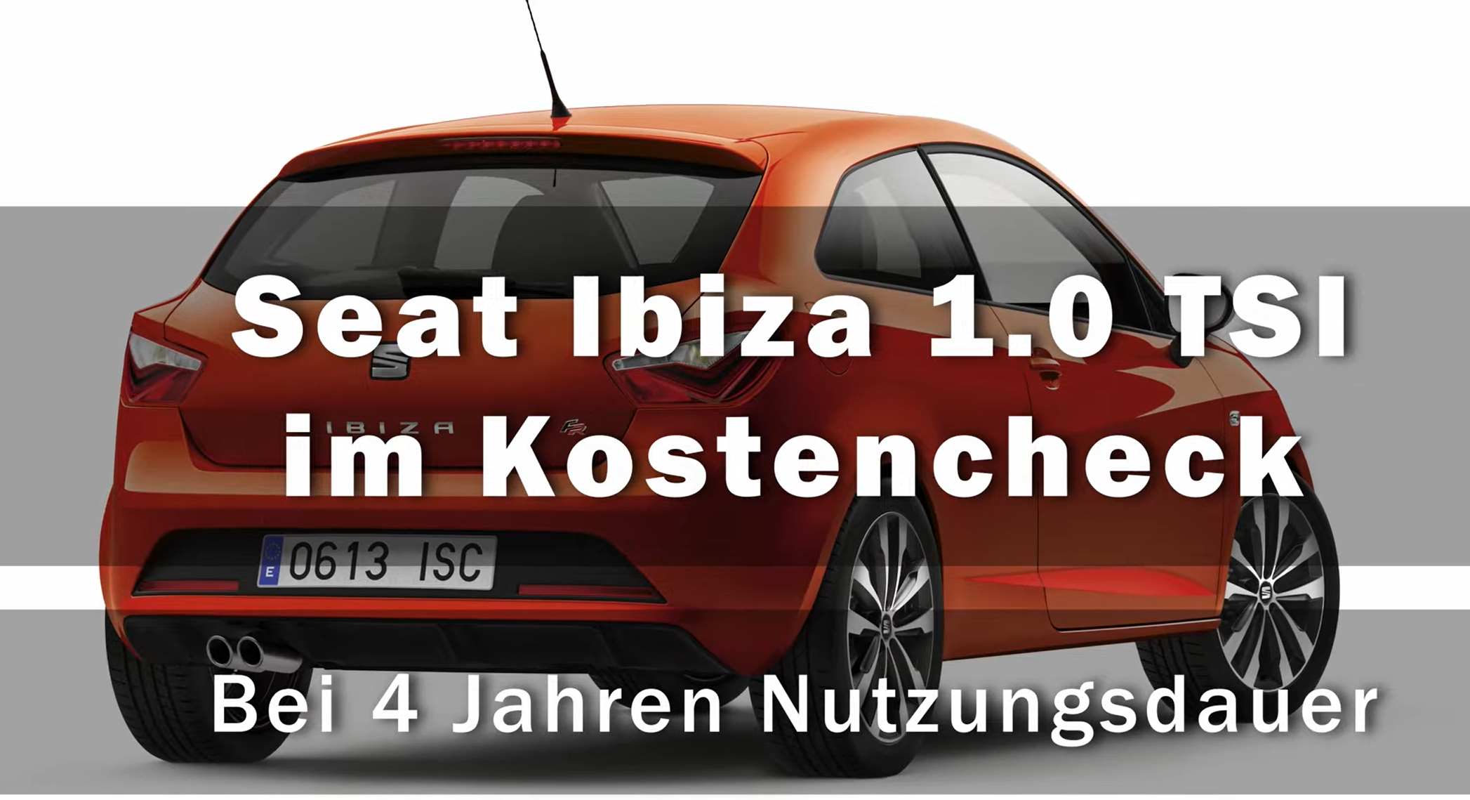 Seat Ibiza Inspektion Kosten
